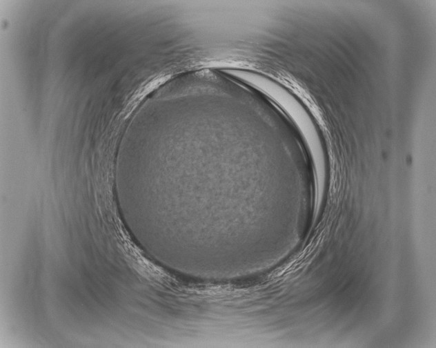 X0000086960385200704161524