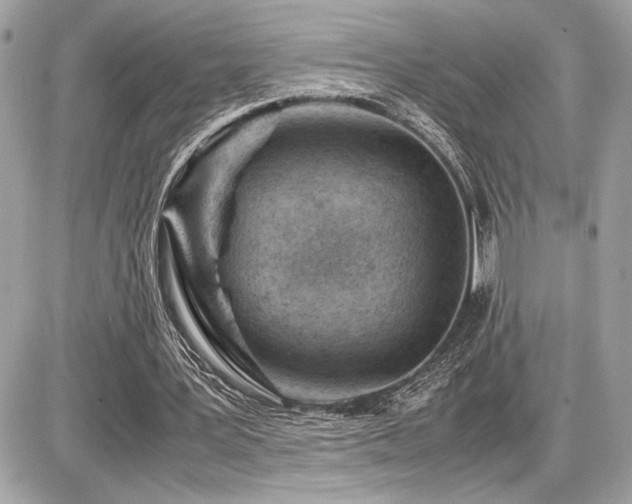 X0000086960387200704161524