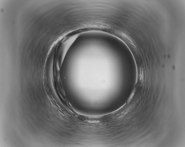 X0000086960388200704161524