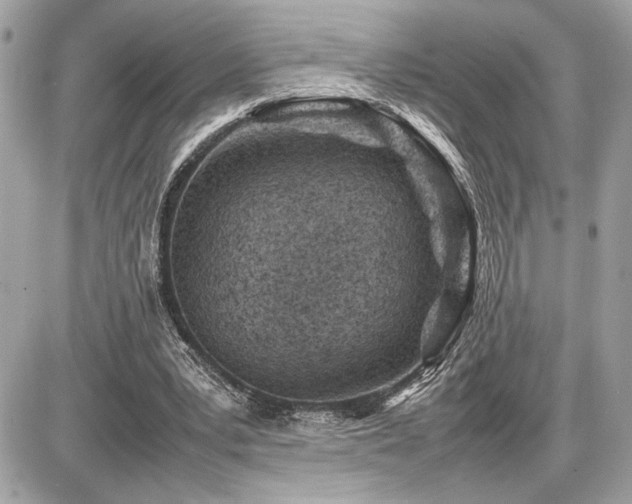 X0000086960391200704161524