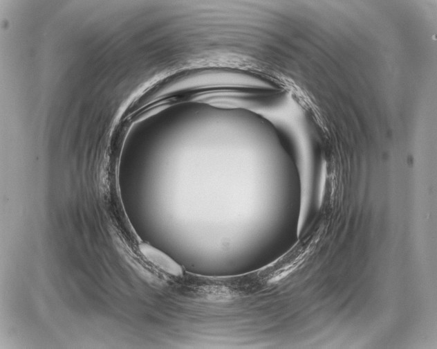 X0000086960392200704161524