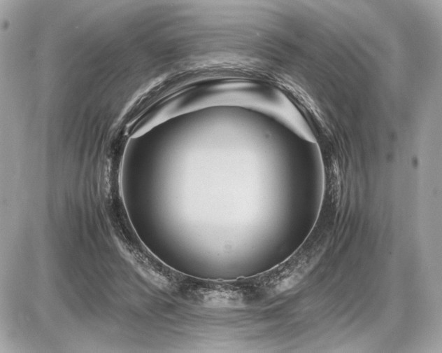 X0000086960400200704161524