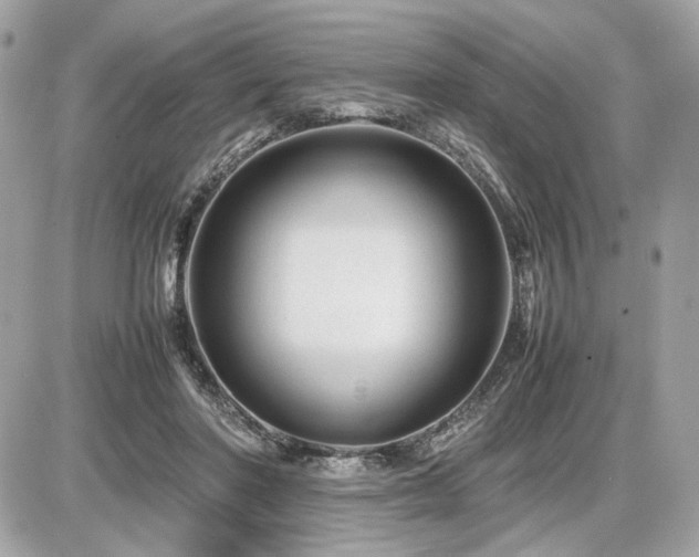 X0000086960406200704161523