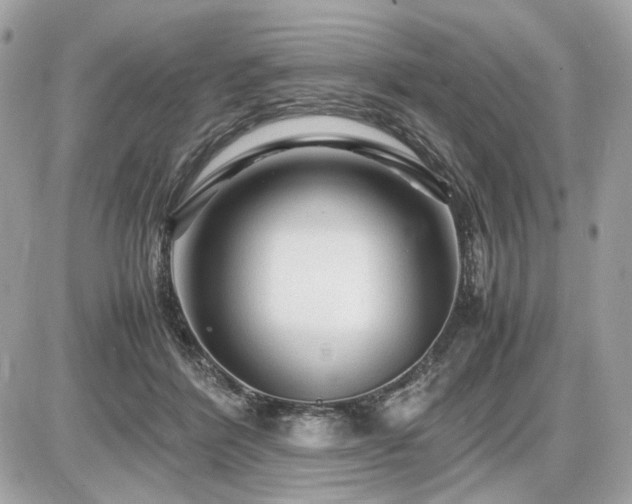 X0000086960412200704161523