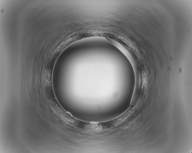 X0000086960421200704161523