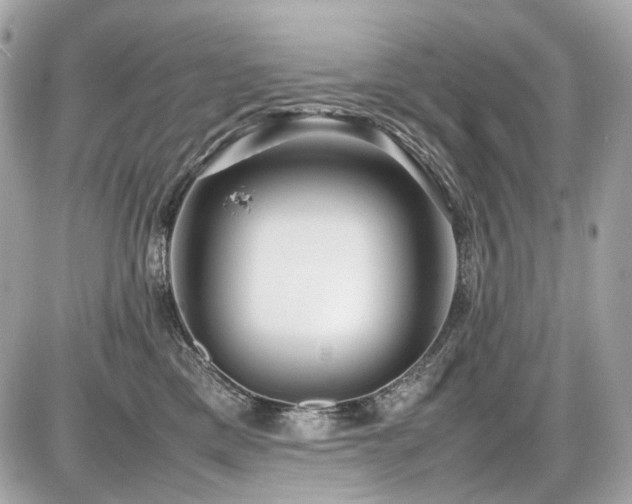 X0000086960425200704161523