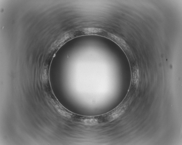 X0000086960426200704161523