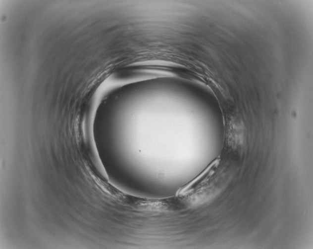 X0000086960428200704161523
