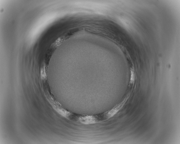 X0000086960431200704161523