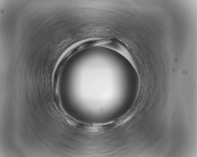 X0000086960432200704161523
