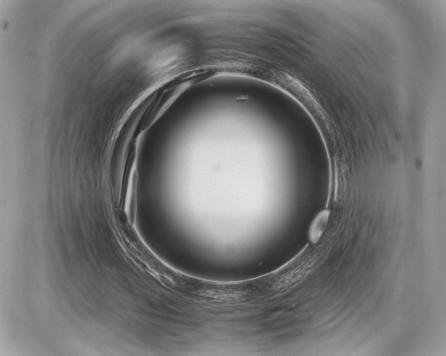 X0000086960435200704161522