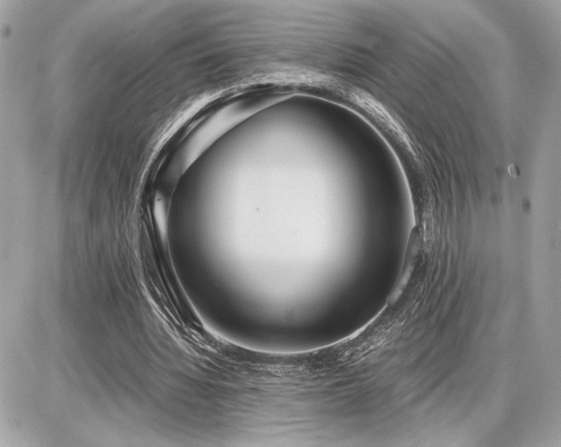 X0000086960436200704161522