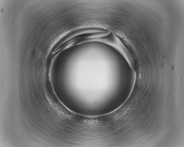 X0000086960440200704161522