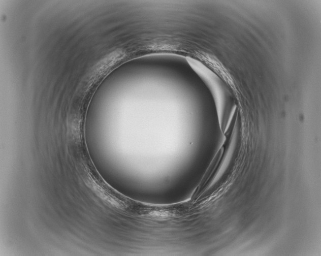 X0000086960441200704161522