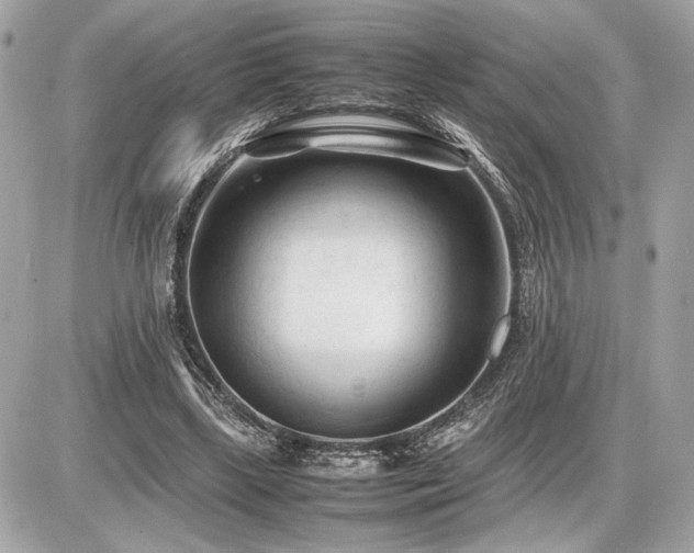X0000086960443200704161522