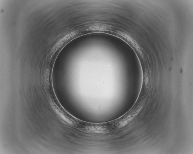 X0000086960445200704161522