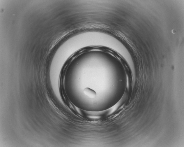 X0000086960448200704161523