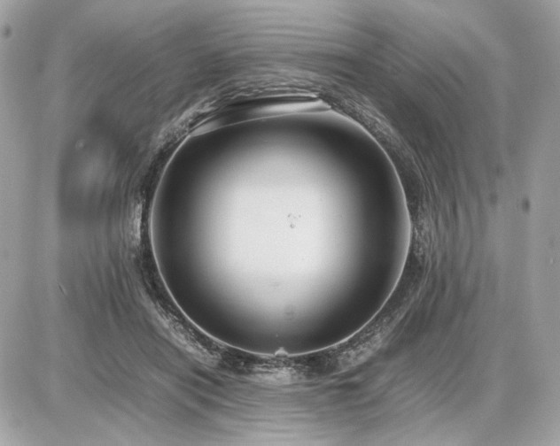 X0000086960454200704161523
