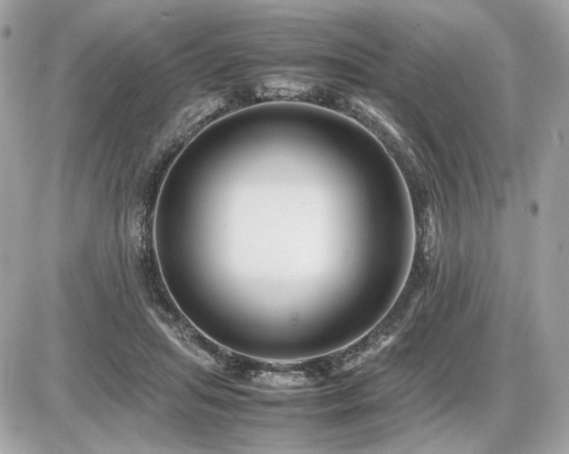 X0000086960455200704161523
