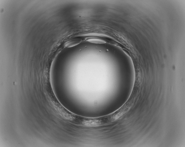 X0000086960461200704161523