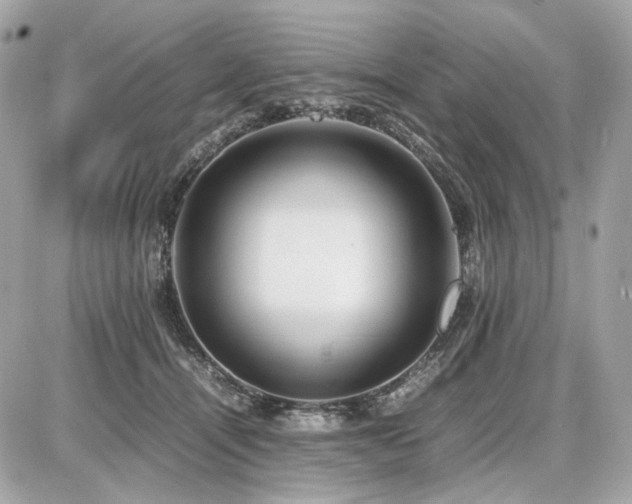 X0000086960464200704161523