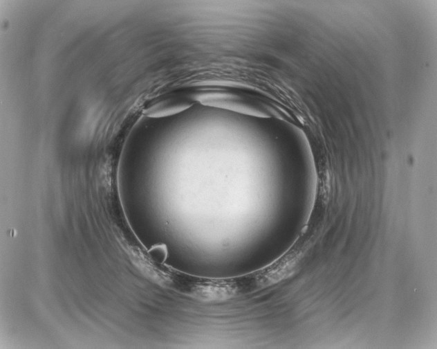 X0000086960466200704161523