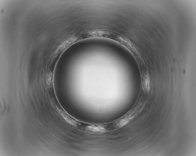 X0000086960477200704161523