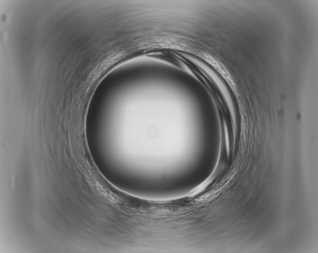 X0000086960481200704161522