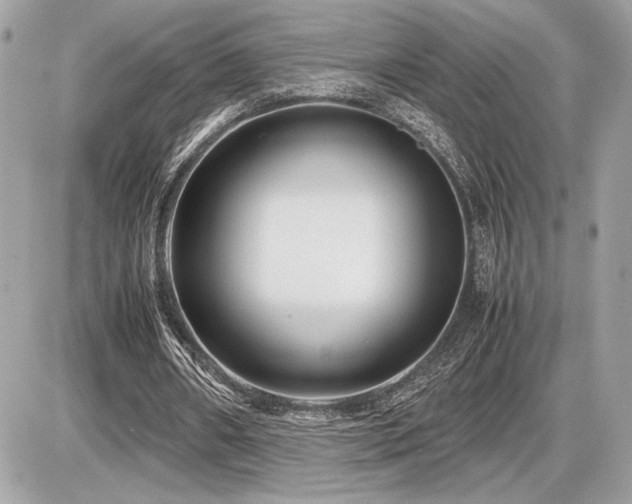 X0000086960482200704161522