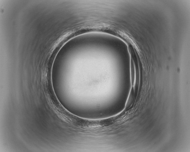 X0000086960483200704161522