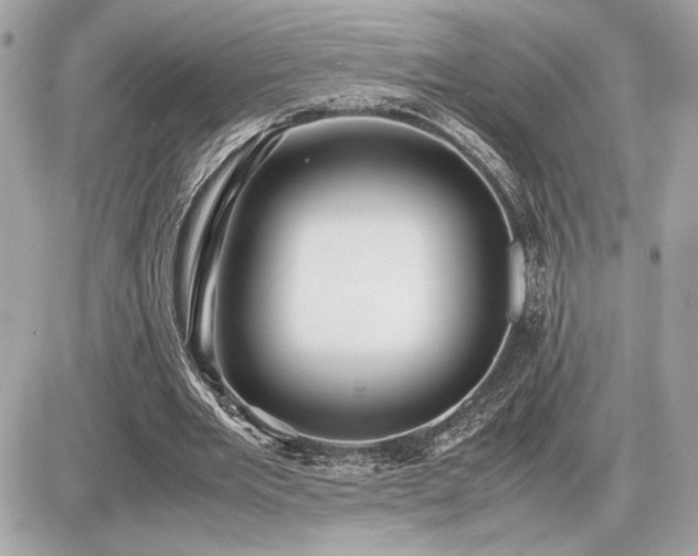 X0000086960485200704161522