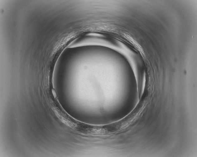 X0000086960493200704161522