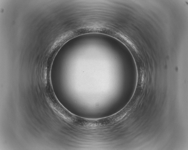 X0000086960494200704161522