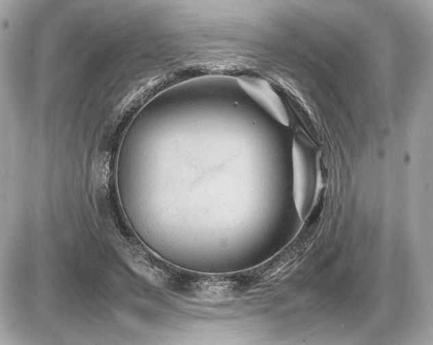 X0000086960495200704161522