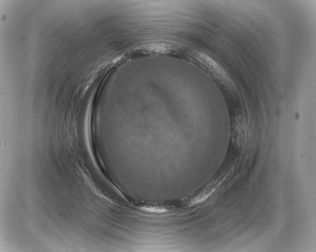 X0000086960500200704161522