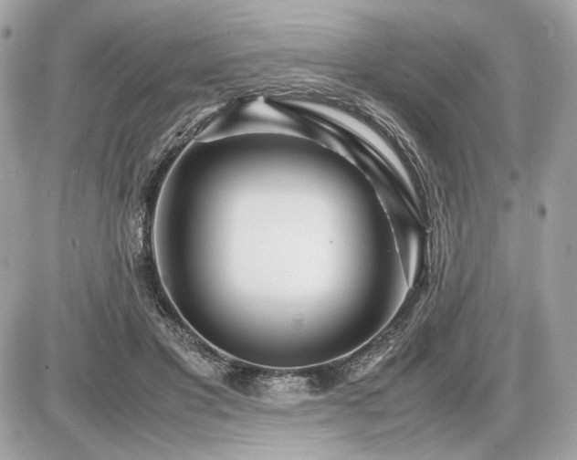 X0000086960501200704161522