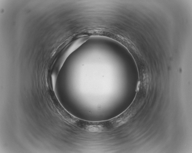 X0000086960508200704161522