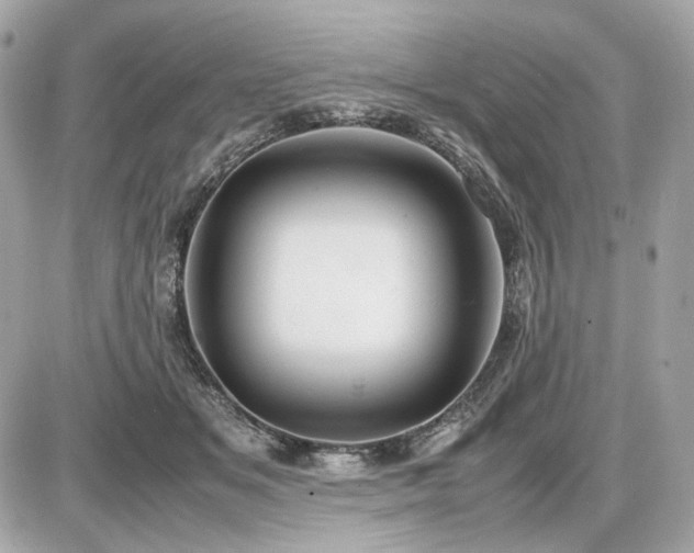 X0000086960509200704161522