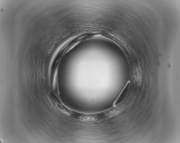 X0000086960512200704161522