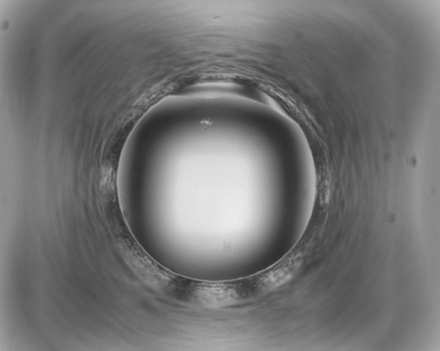 X0000086960521200704161522