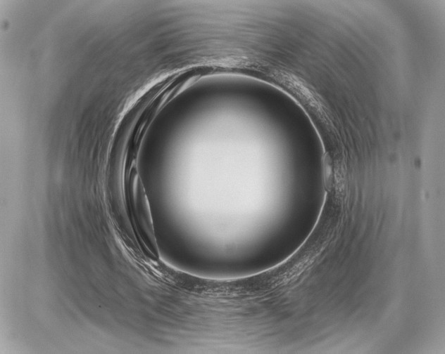 X0000086960532200704161521