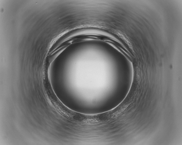 X0000086960536200704161521