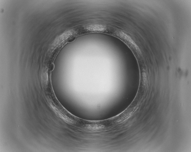 X0000086960541200704161521