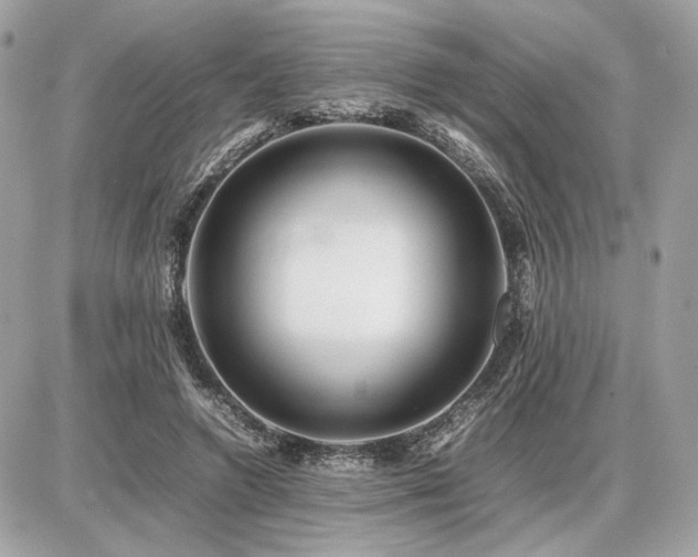 X0000086960546200704161521