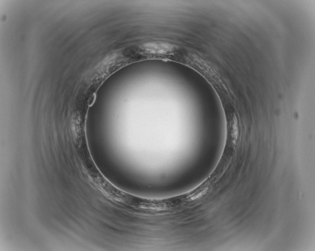 X0000086960559200704161521