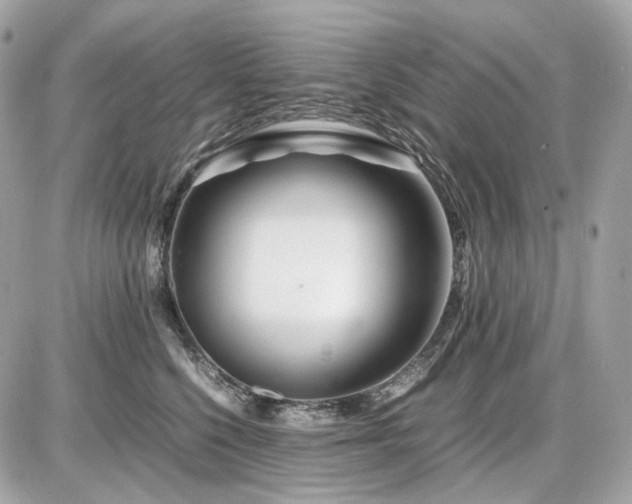 X0000086960568200704161521