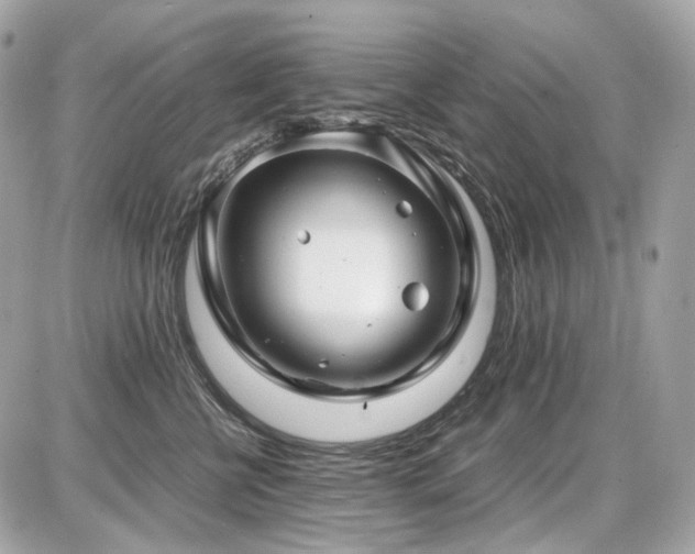 X0000086960570200704161521
