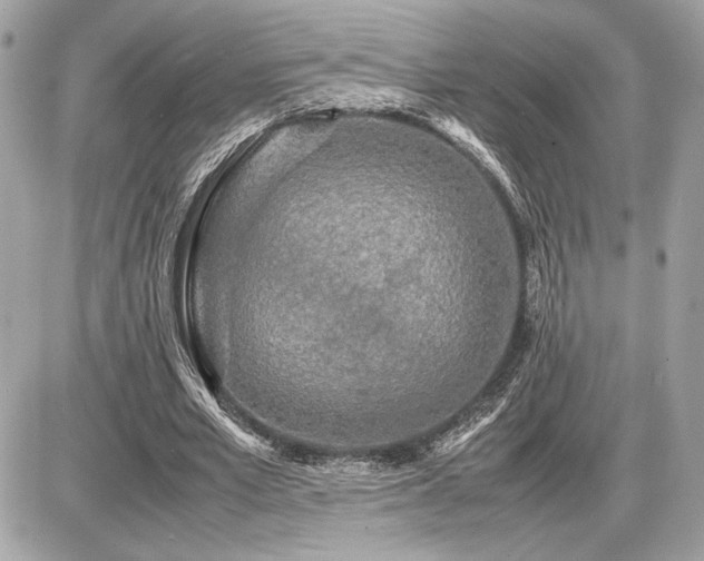 X0000086960581200704161521