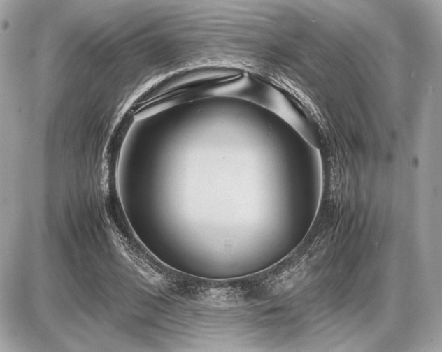 X0000086960584200704161521