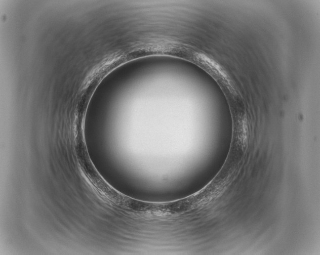 X0000086960586200704161521